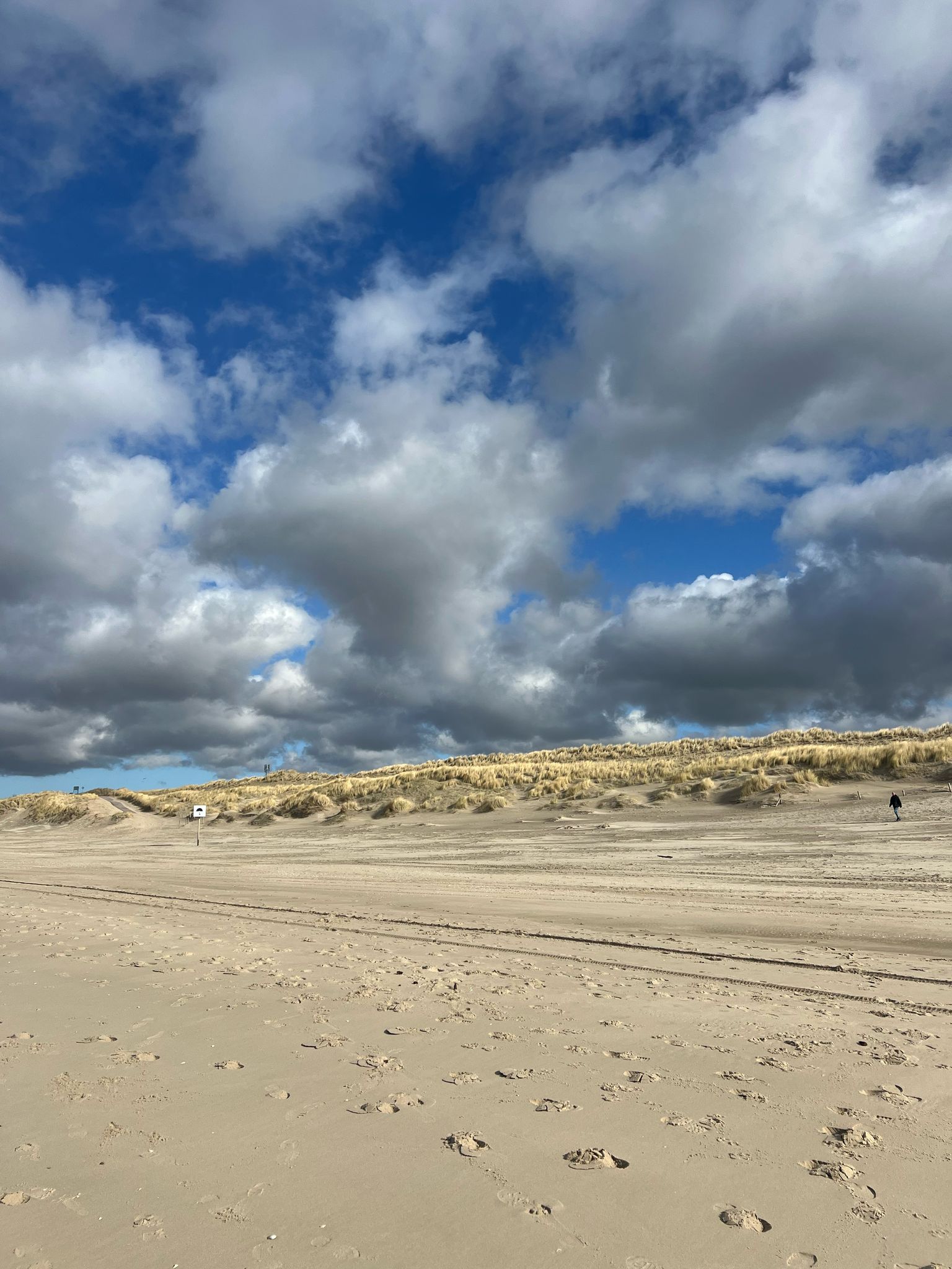 Bureau Vloedlijn background